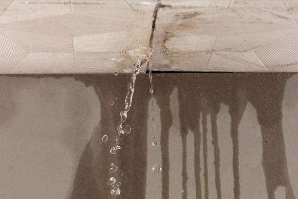 Professional Water Extraction technician working in Lee, IL